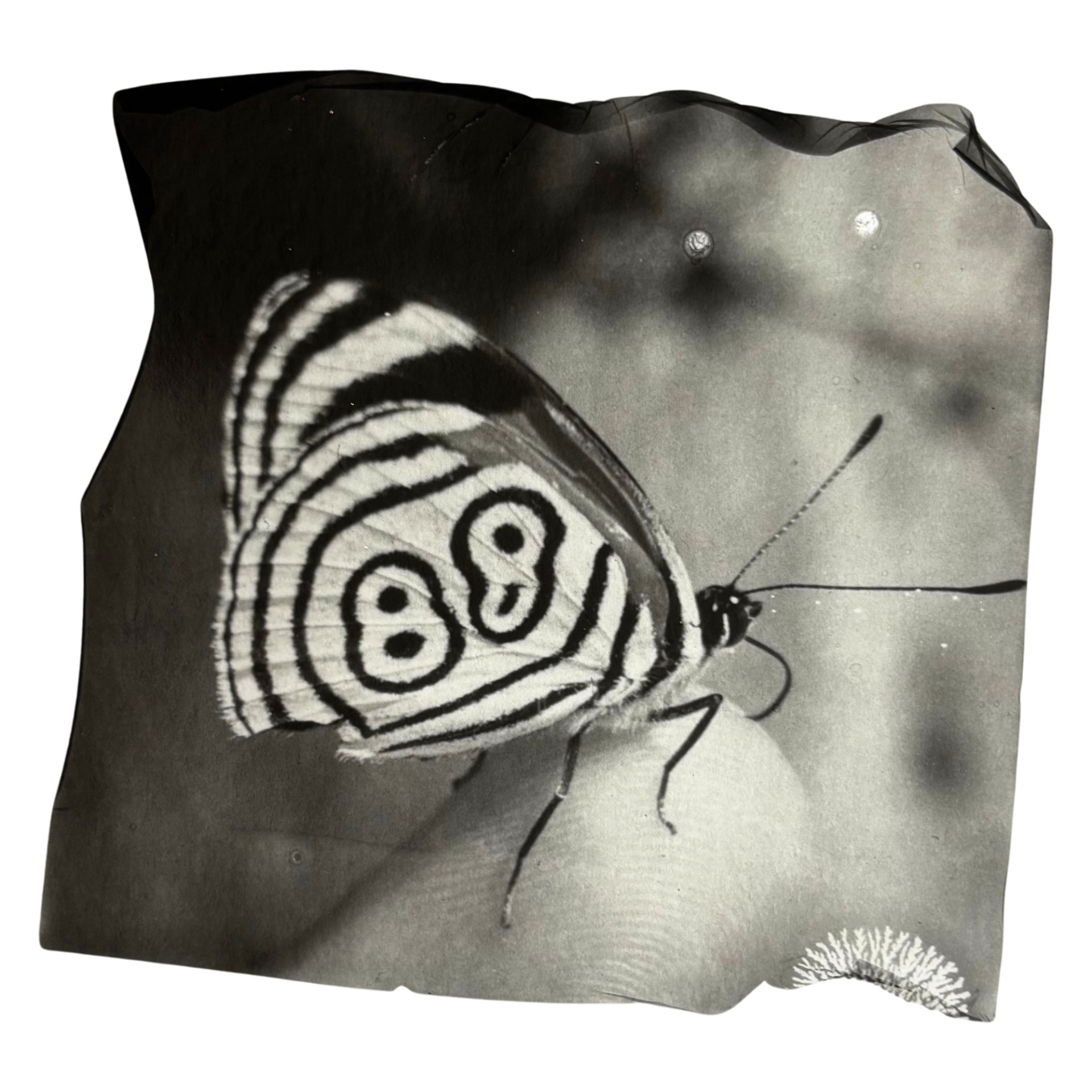 88