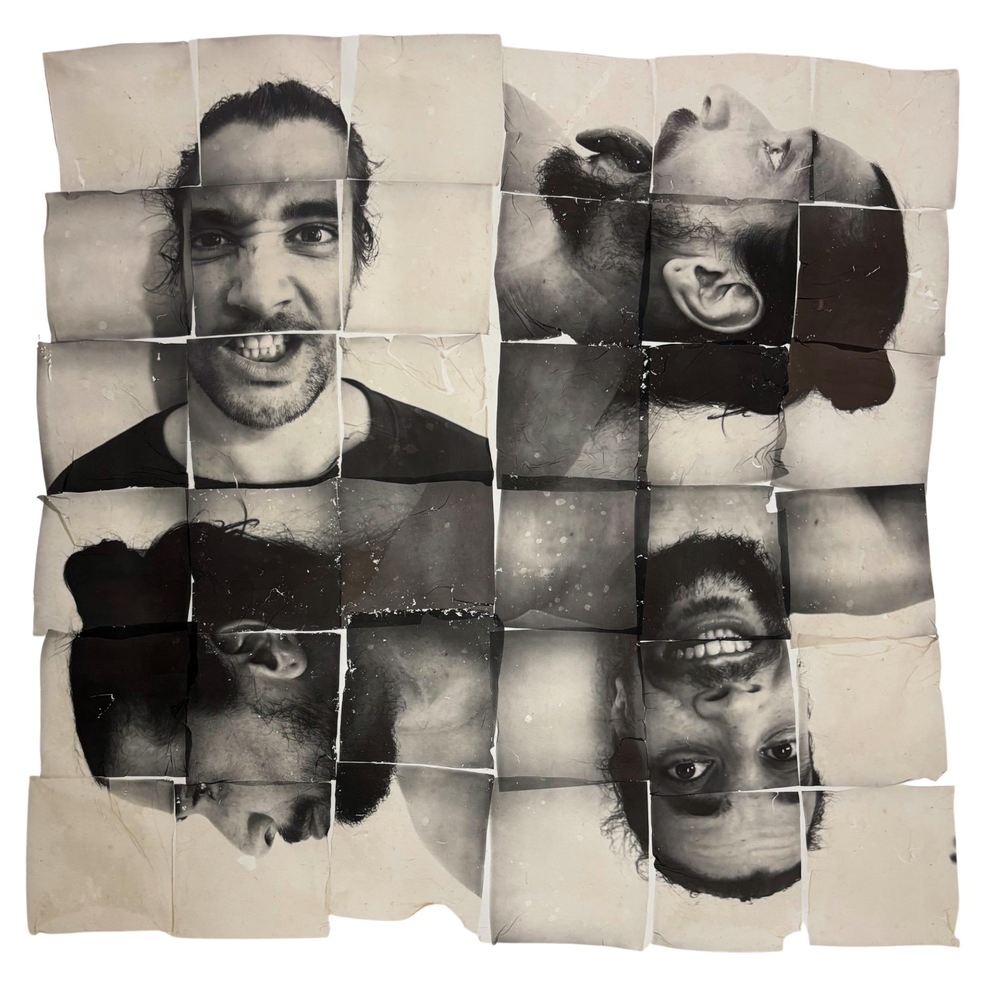 Sentiments — Macarena Stipetic